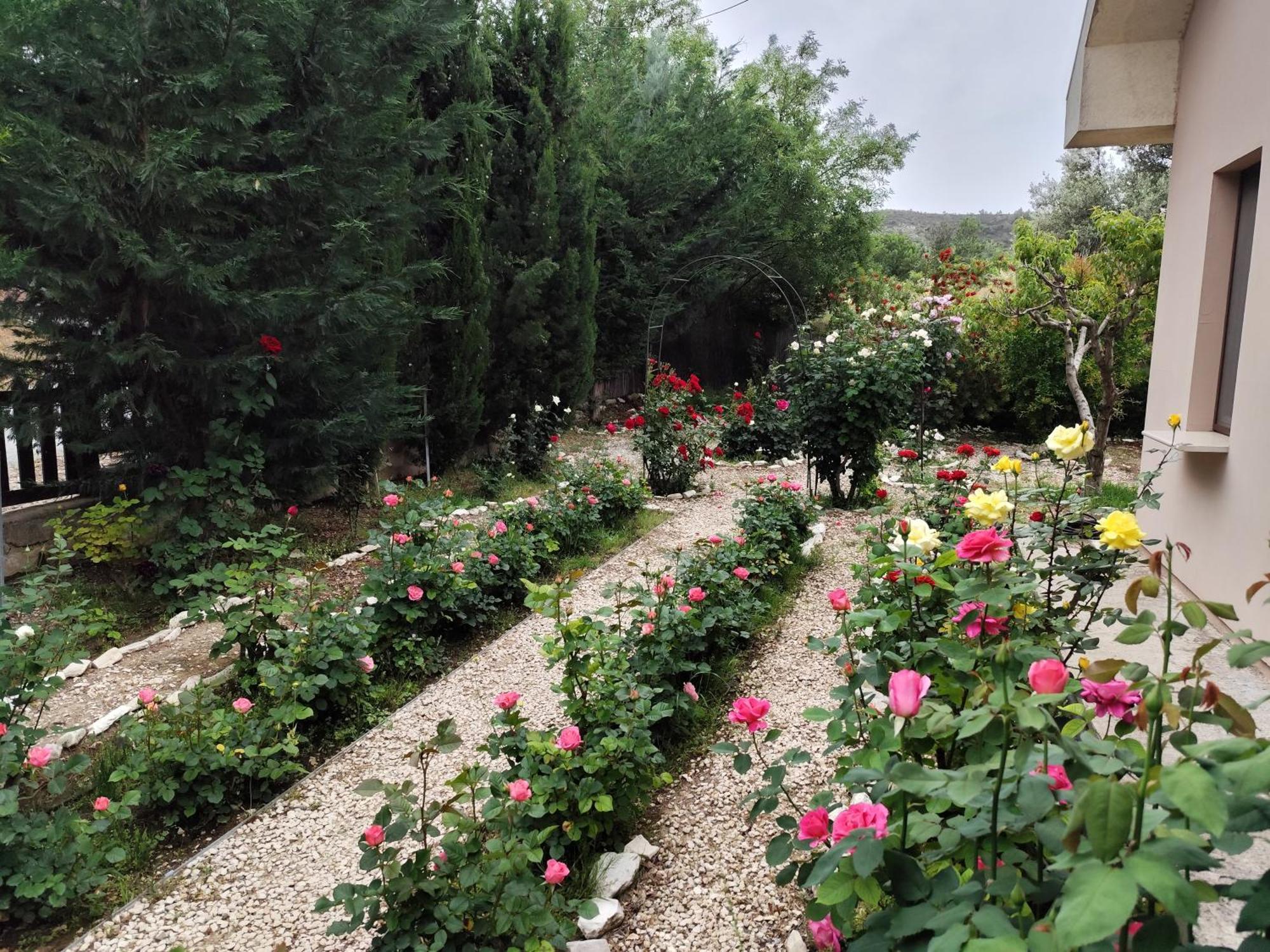 Roses Villa Trimiklini Exterior photo