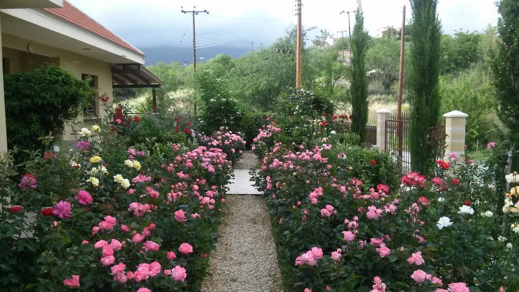 Roses Villa Trimiklini Exterior photo